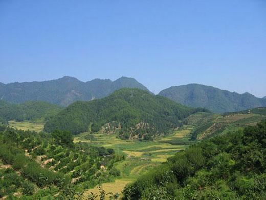 什么是好的墓地風水 什么是好的墓地風水