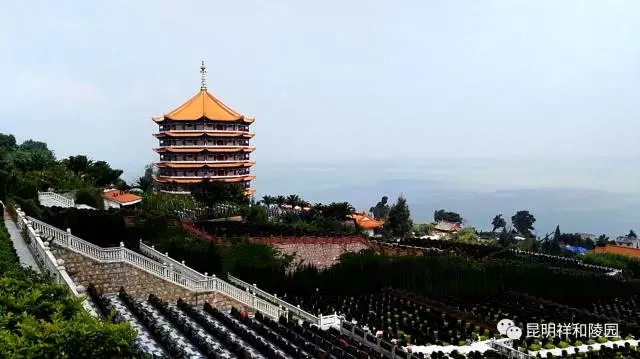 97.jpg
